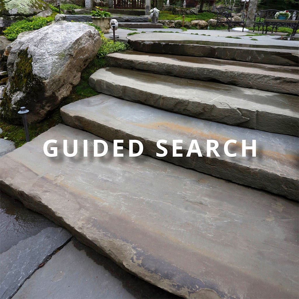 Guided Search