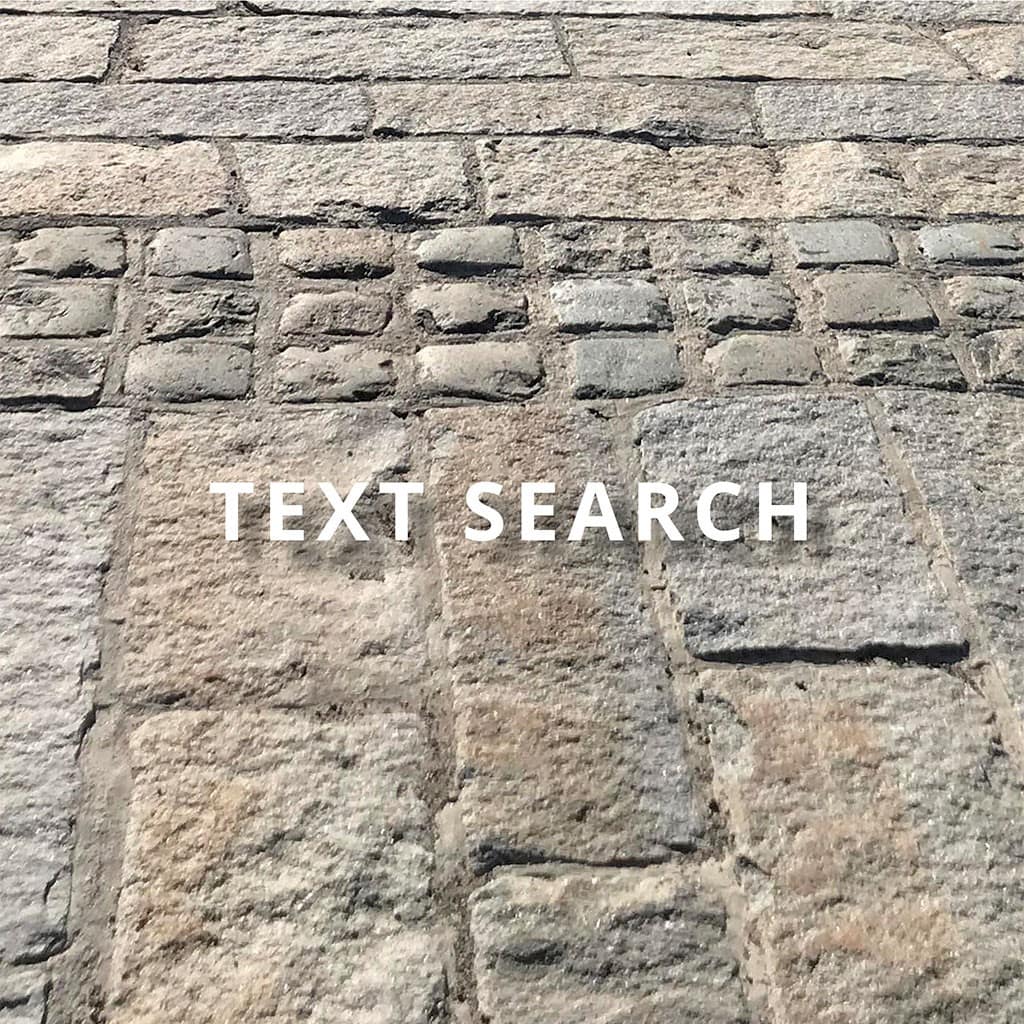 Text Search