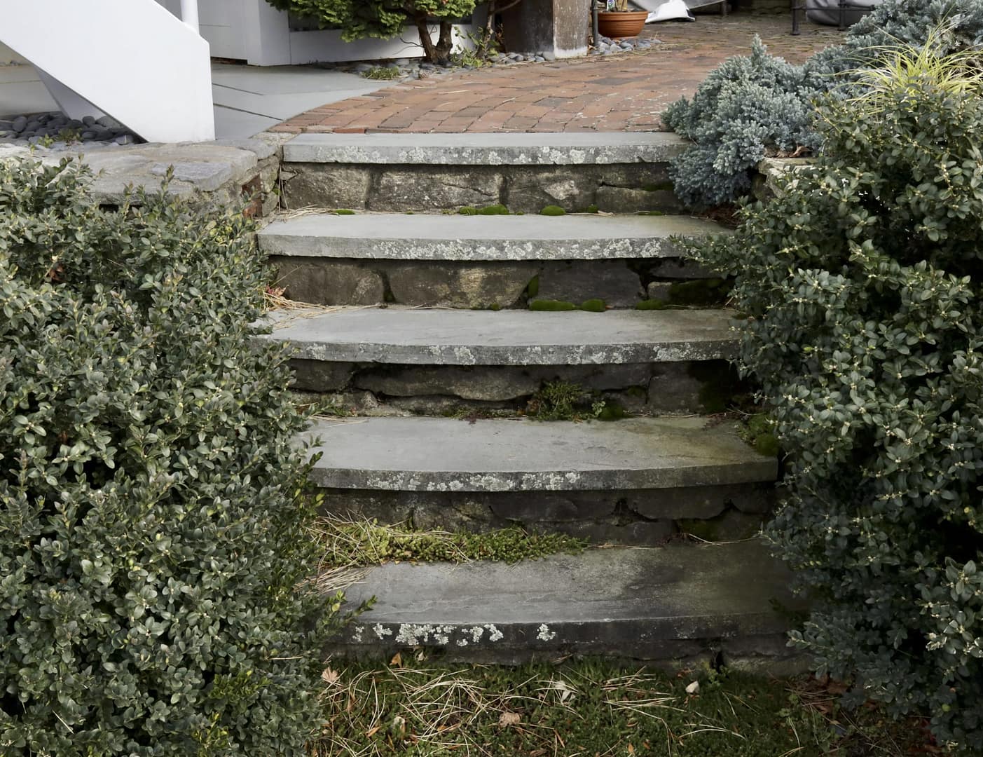 Stone-Curators-Bluestone-natural-cleft-treads_MG_5056