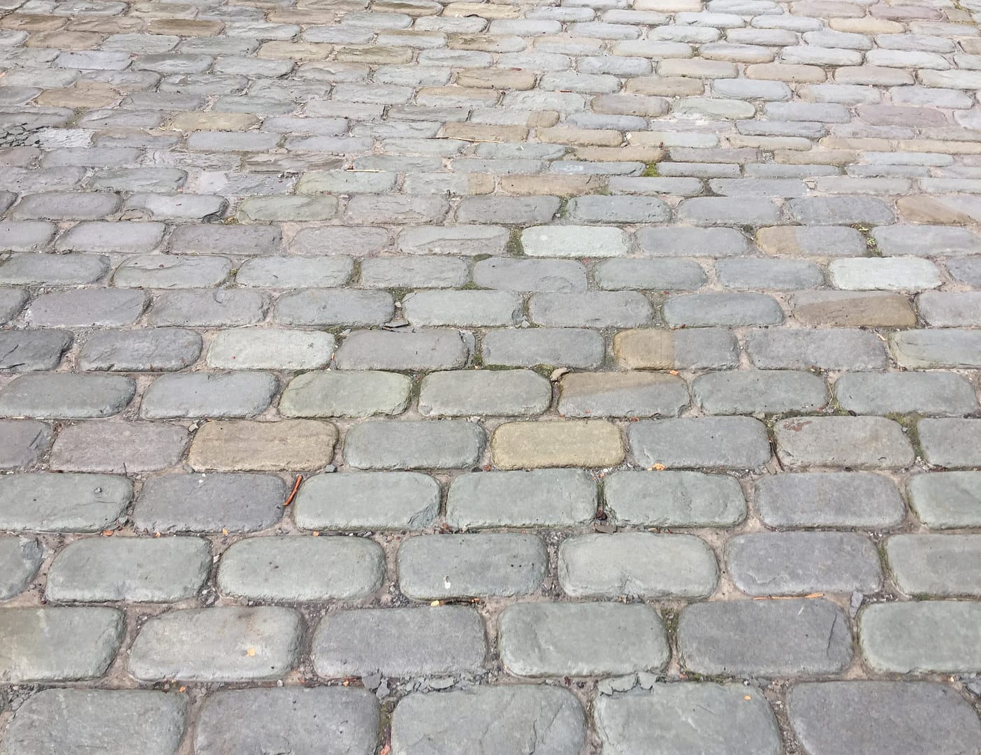 Stone-Curators-Bluestone-full-color-tumbled-cobblestone-driveway-IMG_5383