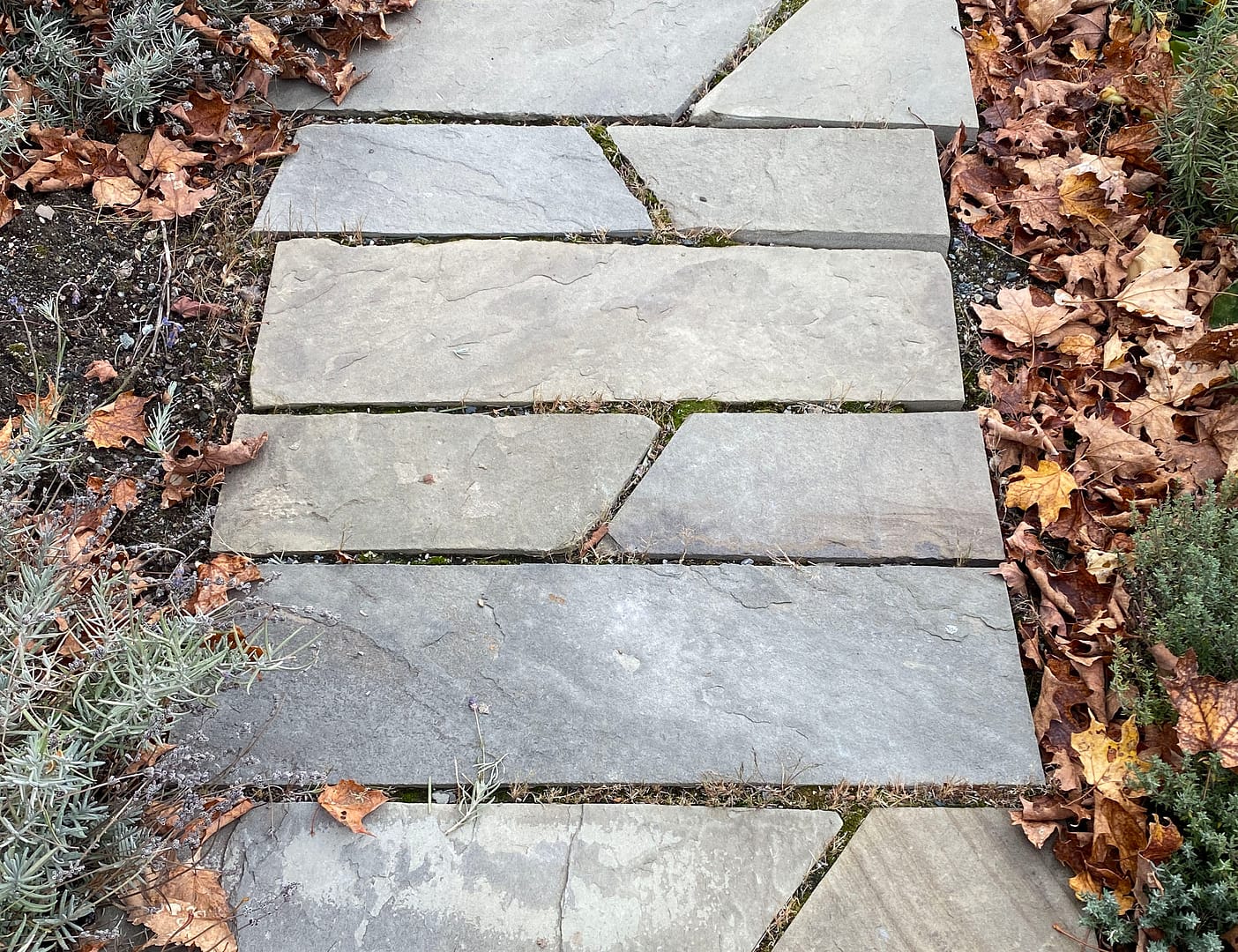 Stone-Curators-Bluestone-natural-cleft-split-walkway-IMG-1421