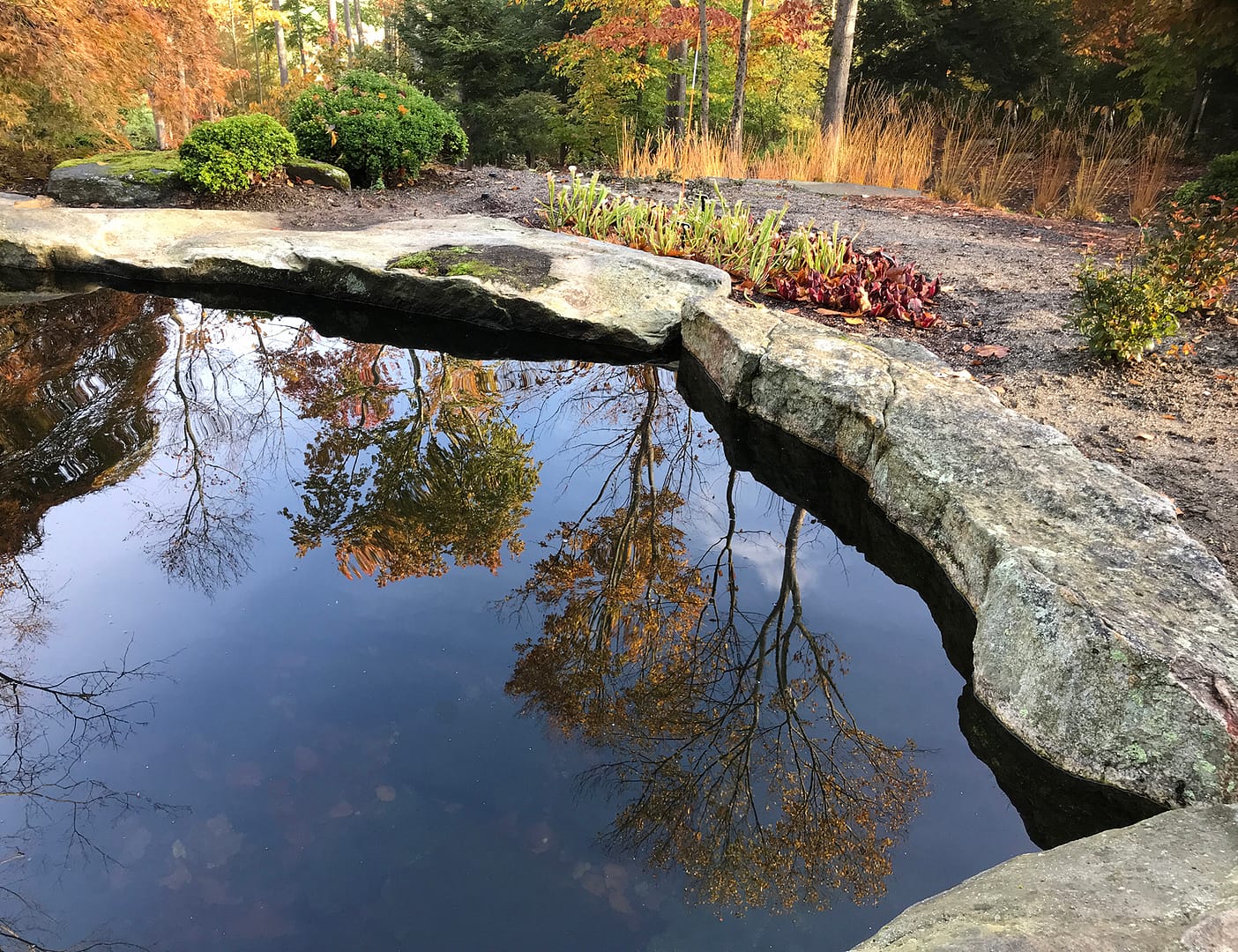 Stone-Curators-reclaimed-granite-pond-coping-IMG_0846