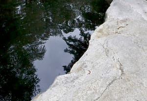 Stone-Curators-reclaimed-granite-ledge-pond-coping-natural_MG_1131