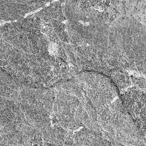 Natural Cleft natural stone surface finish example in grayscale