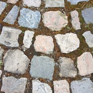 Stone-Curators-Cobblestone-Irregular-Shape