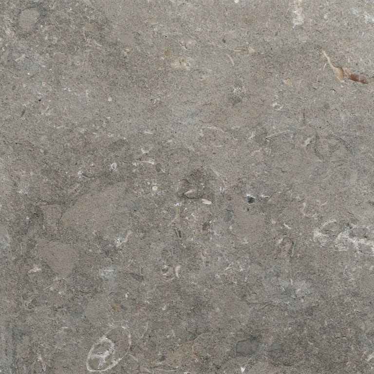Fossil Gray Limestone
