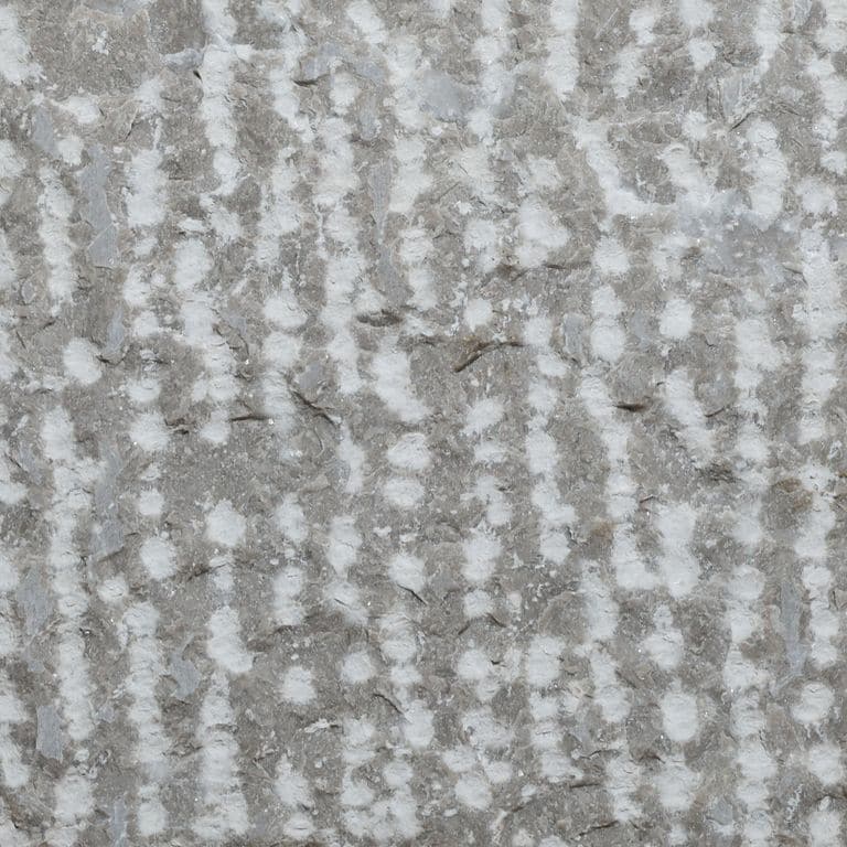 Color/Finish variation image for Northern Bay Limestone. The surface finish shown is point stalk. Dominant colors shown are blue and gray. The color mix creates a cool feeling. Linear color pattern.