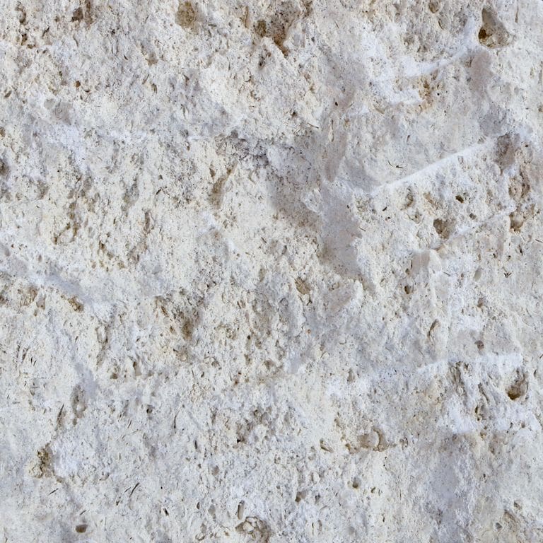 Classic Coral Stone Limestone