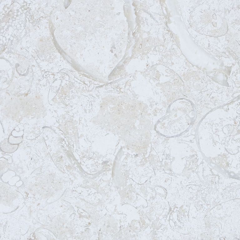 Color/Finish variation image for Limestone - White Shell Stone. The surface finish shown is . The dominant color shown is white. The color mix creates a cool feeling. Swirled and blotched color patterns.