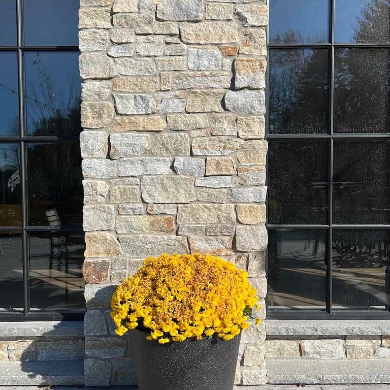 Application image for Newport Mist Granite. The image shows this material being used in a full bed veneer application. The surface finish shown is split-face. Dominant colors shown are gray and tan. The color mix creates a warm feeling.