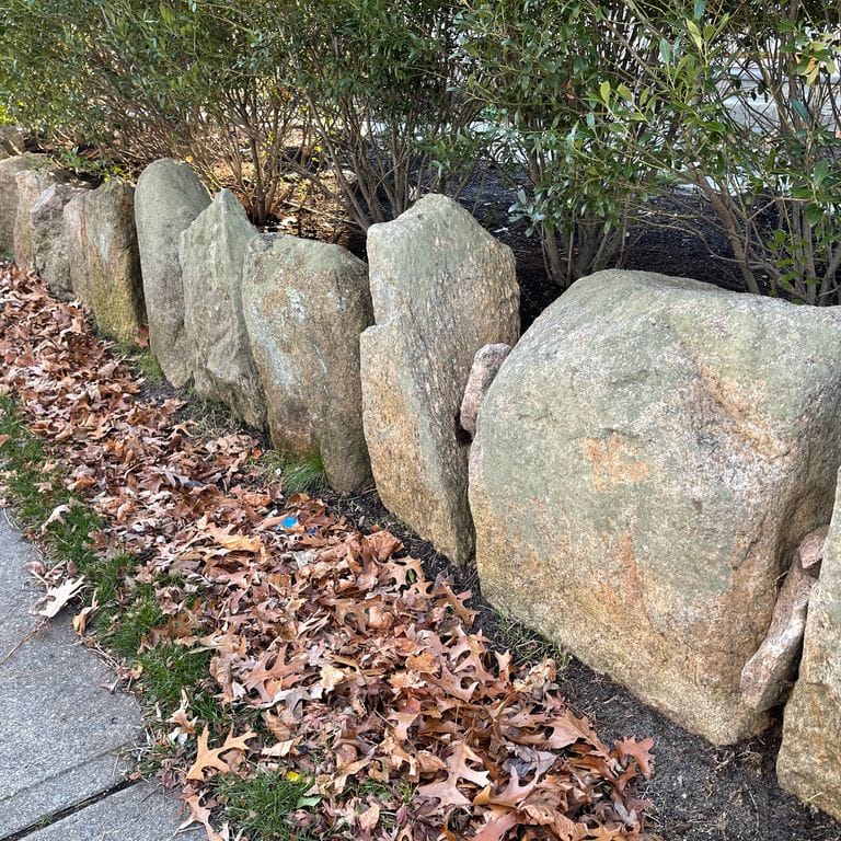 Application image for New England Fieldstone Boulders &amp; Ledgestone. The image shows this material being used in a landscape wallstone application. The surface finish shown is weathered. The dominant color shown is gray. The color mix creates a warm feeling.