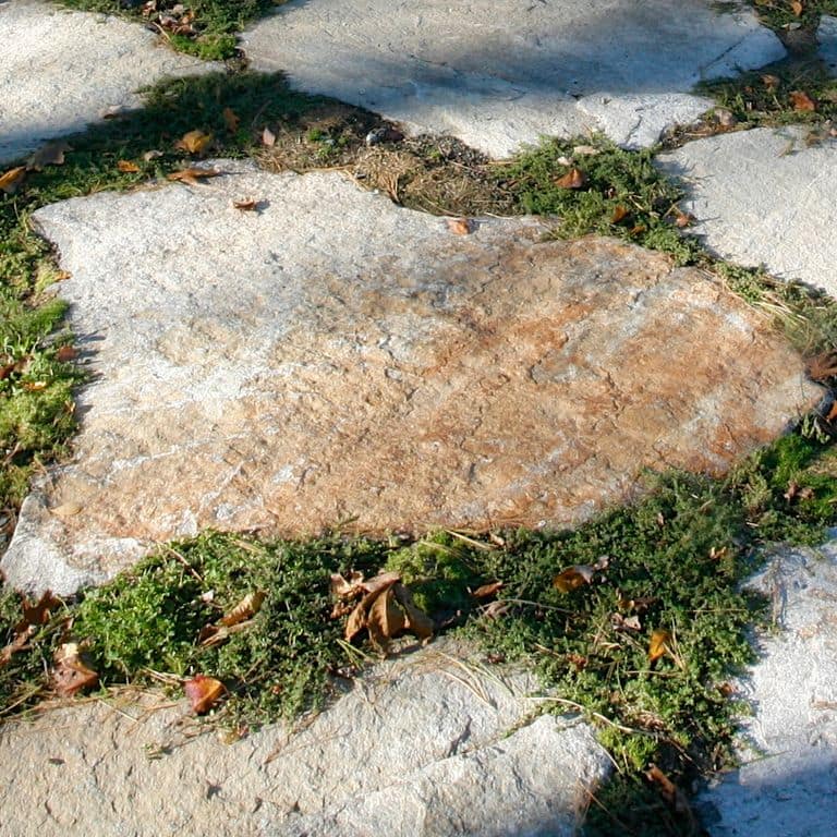 The surface finishes shown are natural cleft and weathered. Dominant colors shown are beige and gray; with brown, orange/rust, white, tan and cream secondaries. Blotched and streaked color patterns.