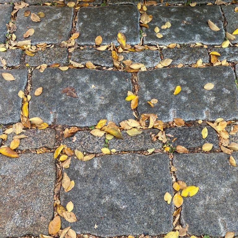 Best close-up image for Reclaimed New England Granite Cobblestones - Road Pavers. The image shows this material being used in a driveway pavers application. The surface finish shown is a combination of weathered and worn. The dominant color shown is gray; with brown, orange/rust and tan secondaries. The color mix creates a cool feeling. Regular, speckled, blotched and cloudy color patterns.