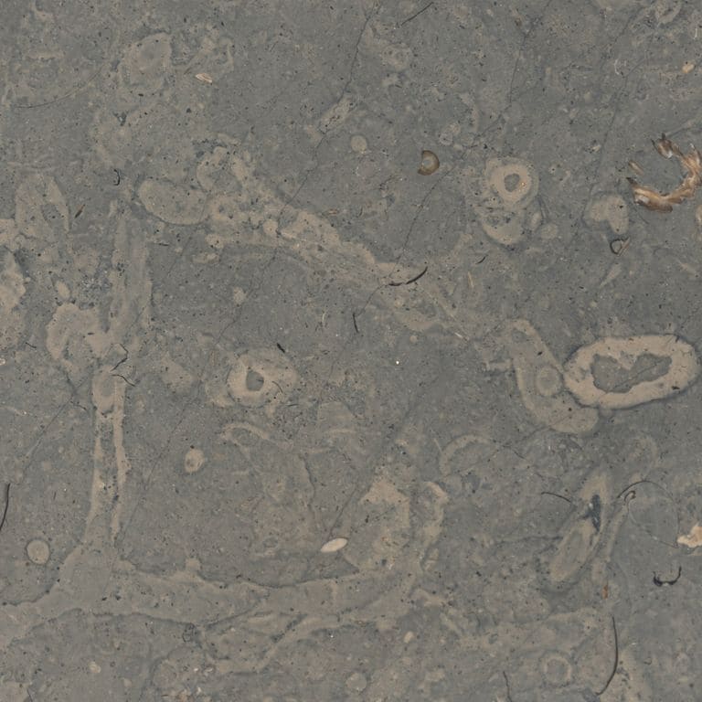 Color/Finish variation image for Sky Estrema Limestone. The surface finish shown is polished. Dominant colors shown are green and gray; with brown, purple and tan secondaries. Exhibits "movement" and the color mix creates a warm feeling. Random, blotched and swirled color patterns. Contains mineral inclusions.