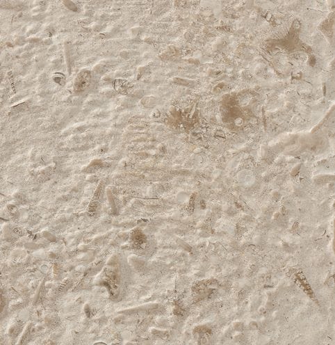 Color/Finish variation image for Coralau Limestone. The surface finish shown is brushed. Dominant colors shown are beige and tan; with brown, gray, orange/rust, pink and cream secondaries. Exhibits "movement" and the color mix creates a warm feeling. Regular and blotched color patterns.
