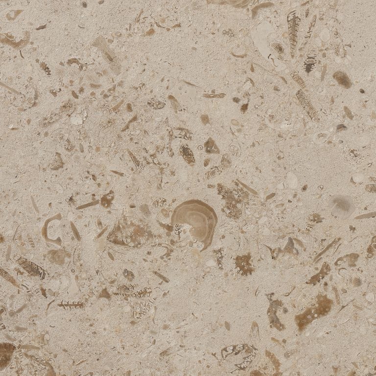 Portuguese Coralau Limestone