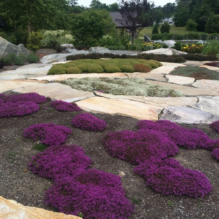 Application image for Black Mountain Granite - Natural. The image shows this material being used in a path pavers application. The surface finish shown is natural. The dominant color shown is purple; with beige, black, brown, green, gray, orange/rust, tan and cream secondaries. The color mix creates a warm feeling. Regular color pattern.