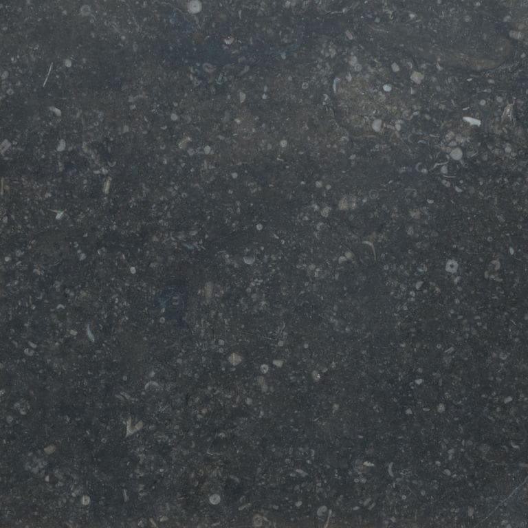 Color/Finish variation image for Belgian Bluestone Limestone. The surface finish shown is . Dominant colors shown are black and gray. The color mix creates a cool feeling.