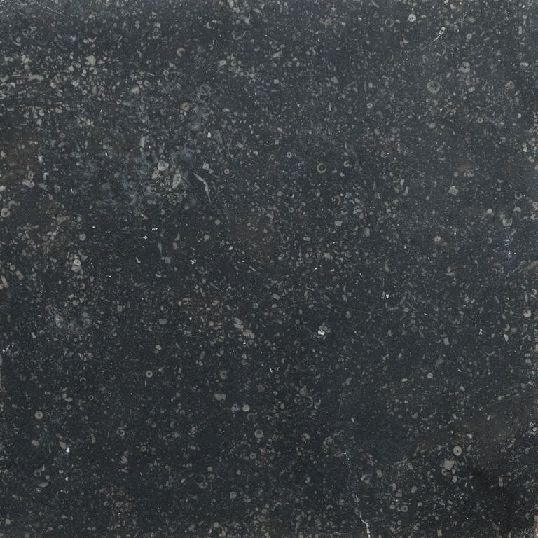 Color/Finish variation image for Belgian Bluestone Limestone. The surface finish shown is . The dominant color shown is black. The color mix creates a cool feeling.