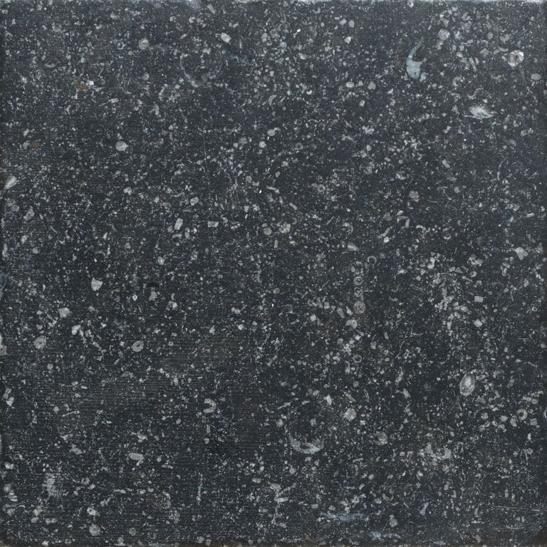 Color/Finish variation image for Belgian Bluestone Limestone. The surface finish shown is . Dominant colors shown are black and gray. The color mix creates a cool feeling.