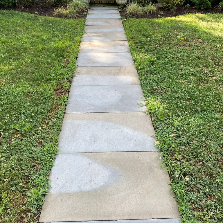 Application image for Bluestone - Full Color Mix. The image shows this material being used in a path pavers application.