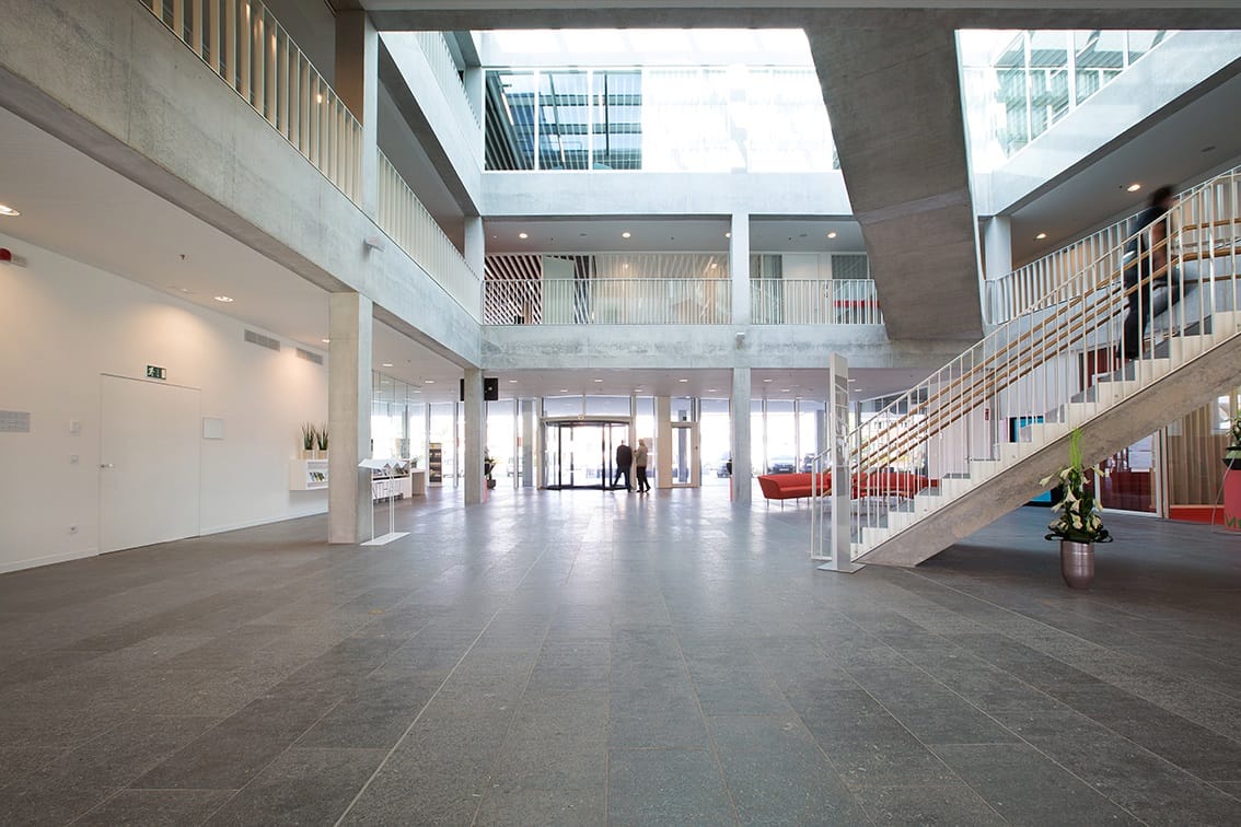 The image shows this material being used in an interior floor application. Regular, speckled, fine speckled and blotched color patterns.
