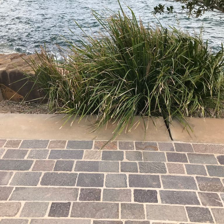Feature image for Porphyry Natural Surface - Mixed Gray. The image shows this material being used in a path pavers application. Dominant colors shown are gray and tan; with beige, black, brown, green, orange/rust and purple secondaries. The color mix creates a warm feeling. Random and speckled color patterns.