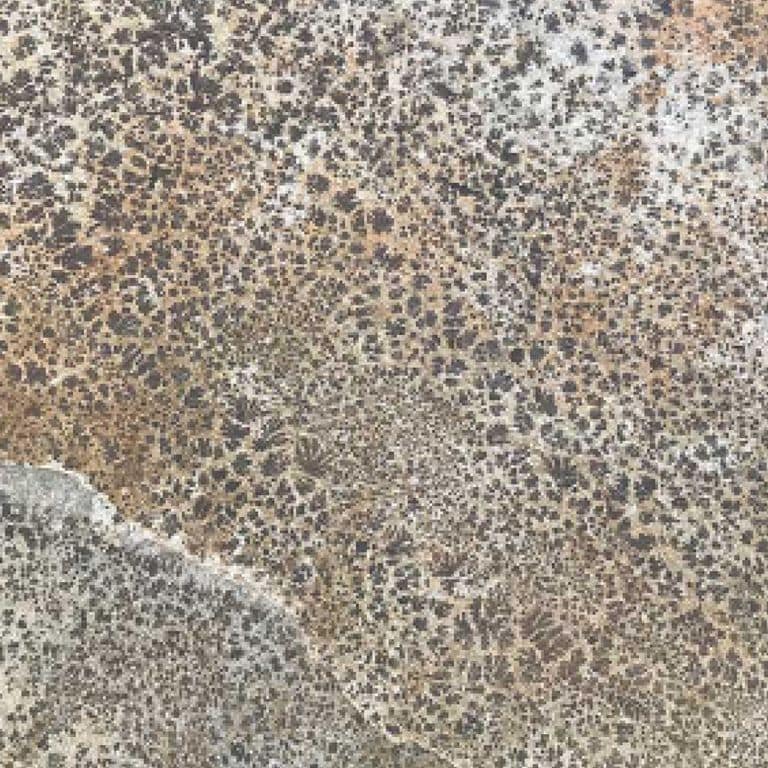 Color/Finish variation image for Greek Quartzite Slate - Seam Face. Dominant colors shown are gray and tan; with beige, brown, green, orange/rust, purple, white and cream secondaries. Exhibits "movement" and the color mix creates a warm feeling. Random, speckled, coarse speckled and veined color patterns.