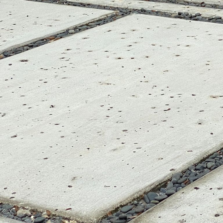 Close-up image for White Coral Stone. The surface finish shown is honed. Dominant colors shown are gray and white; with beige and cream secondaries. Regular and coarse speckled color patterns.