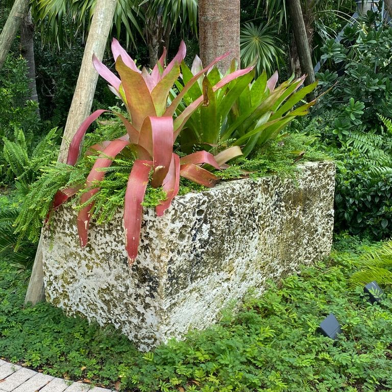 Application image for White Coral Stone. The image shows this material being used in a garden accents application. This is a building and landscape stone for indoor and outdoor commercial and residential applications. Suitable for general use, freeze-thaw conditions, low heat absorption surfaces, high traffic areas, low slipperiness surfaces and high heel compatibilty situations. Relatively moderate in price.