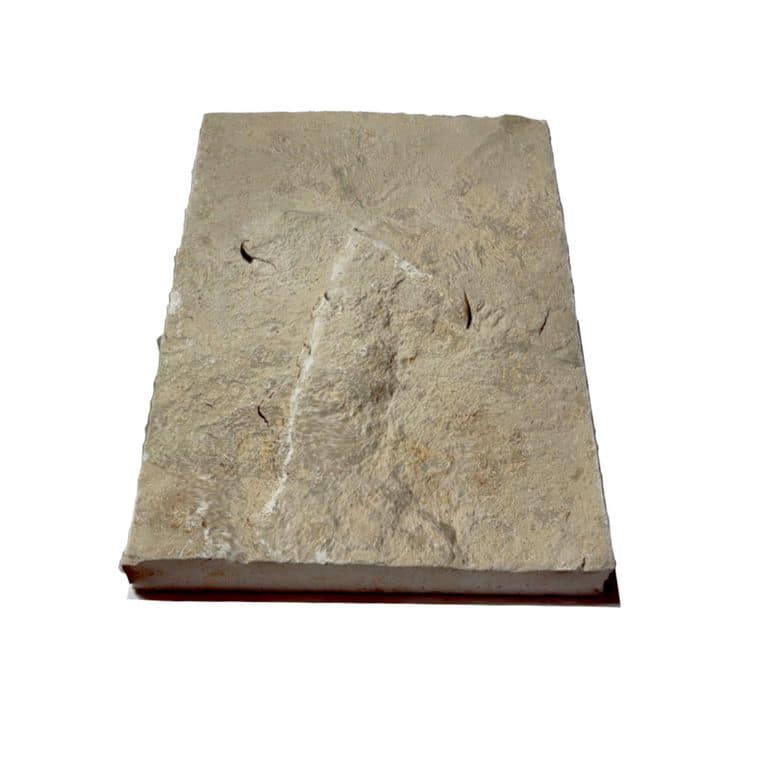 Limestone - Bavarian Beige