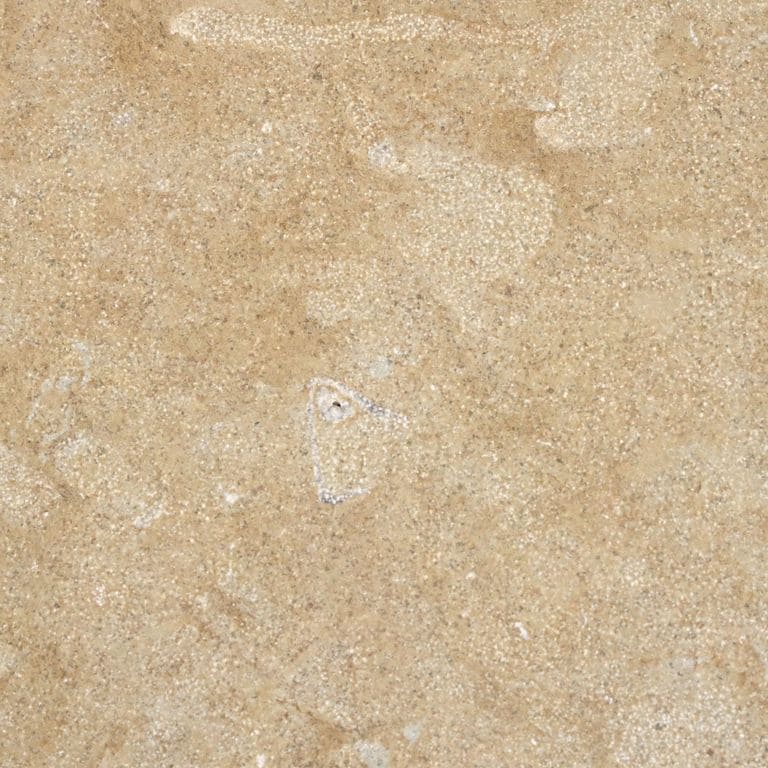 Color/Finish variation image for Cenia Beige Limestone. The surface finishes shown are brushed and fine bush hammered. Dominant colors shown are beige and tan; with brown, orange/rust and cream secondaries. Exhibits "movement" and the color mix creates a warm feeling. Random, speckled and blotched color patterns.