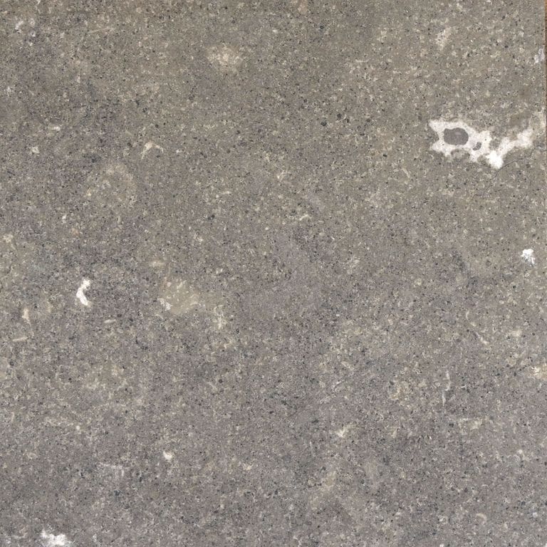 Feature image for Blue Noble Limestone. Dominant colors shown are gray and purple; with brown, green, orange/rust and tan secondaries. The color mix creates a warm feeling. Random, fine speckled and blotched color patterns. Contains mineral inclusions.