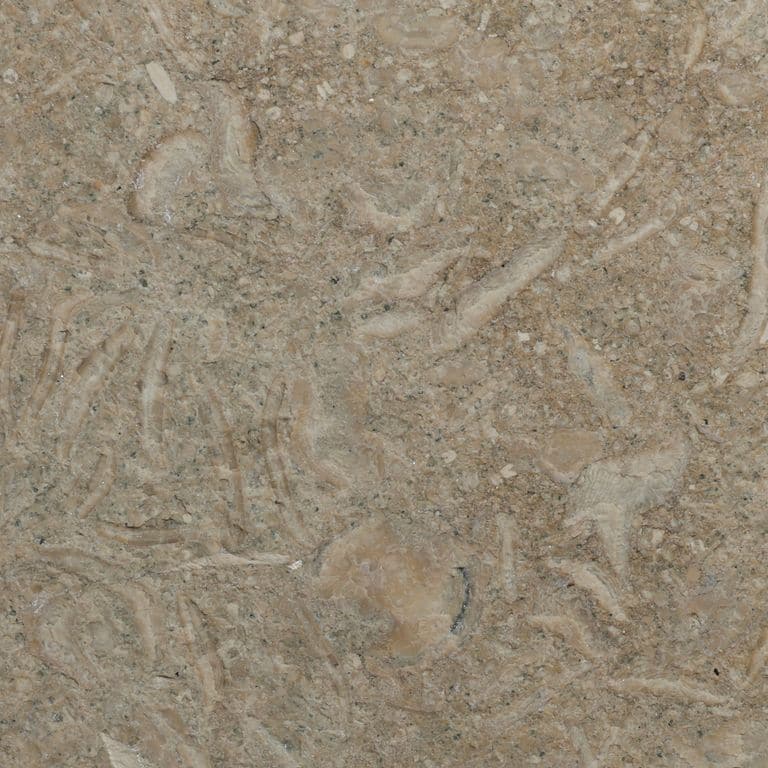 Swatch image for Veneto Olivo Limestone - Pavers. The surface finish shown is flamed. Dominant colors shown are gray and tan. The color mix creates a warm feeling.