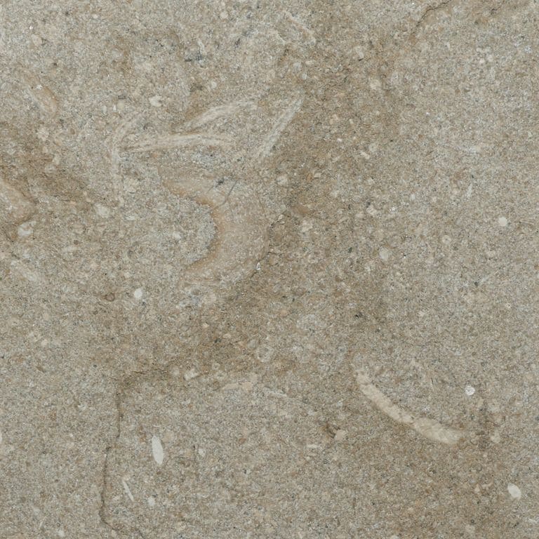 Color/Finish variation image for Veneto Olivo Limestone - Steps &amp; Treads. The surface finish shown is sand blasted. Dominant colors shown are brown and tan. The color mix creates a warm feeling.