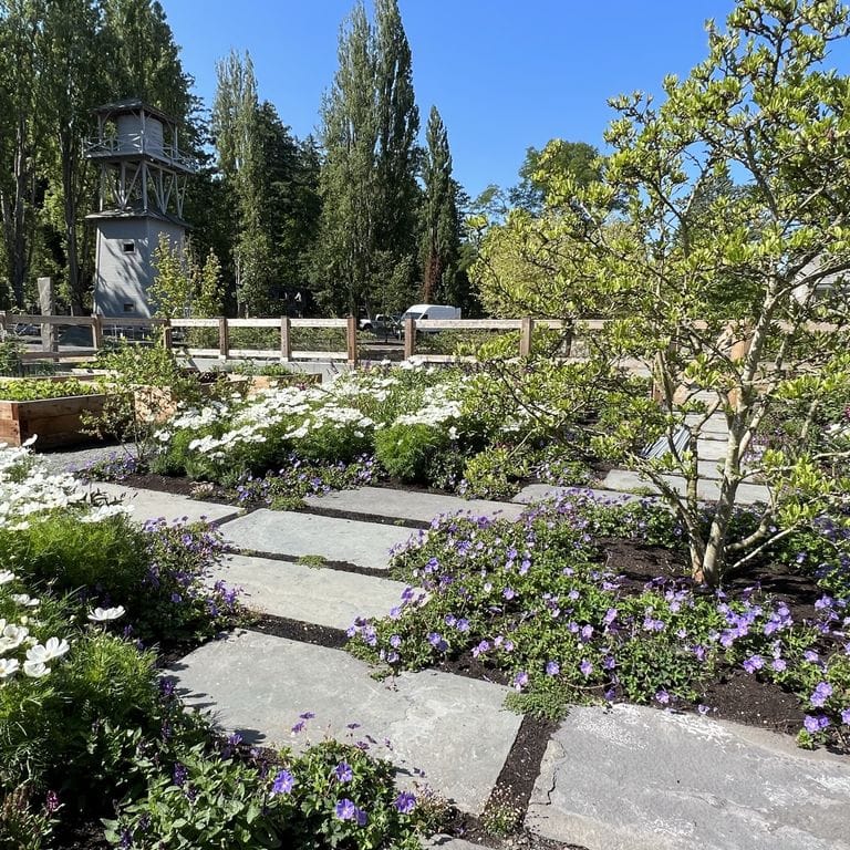 Application image for Reclaimed Bluestone Hand Cut Pavers. The image shows this product being used in a path pavers application. The surface finish shown is natural cleft. The dominant color shown is gray. The color mix creates a cool feeling.