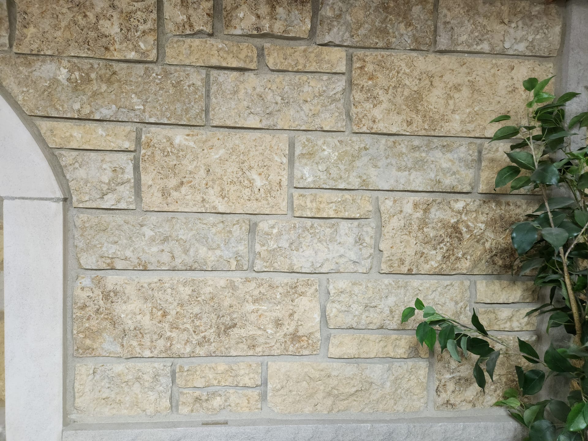 Golden Buff Limestone - Veneer | Stone Curators