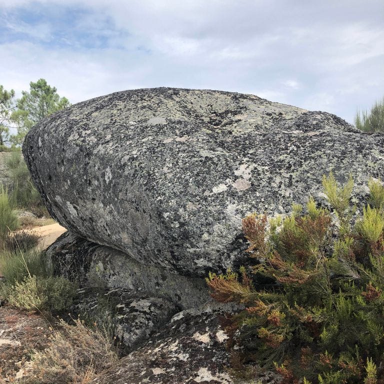 Close-up image for New England Fieldstone Boulders. The surface finish shown is weathered. The dominant color shown is gray; with beige, brown, green and white secondaries. Exhibits "movement" and the color mix creates a cool feeling. Speckled, coarse speckled and blotched color patterns.
