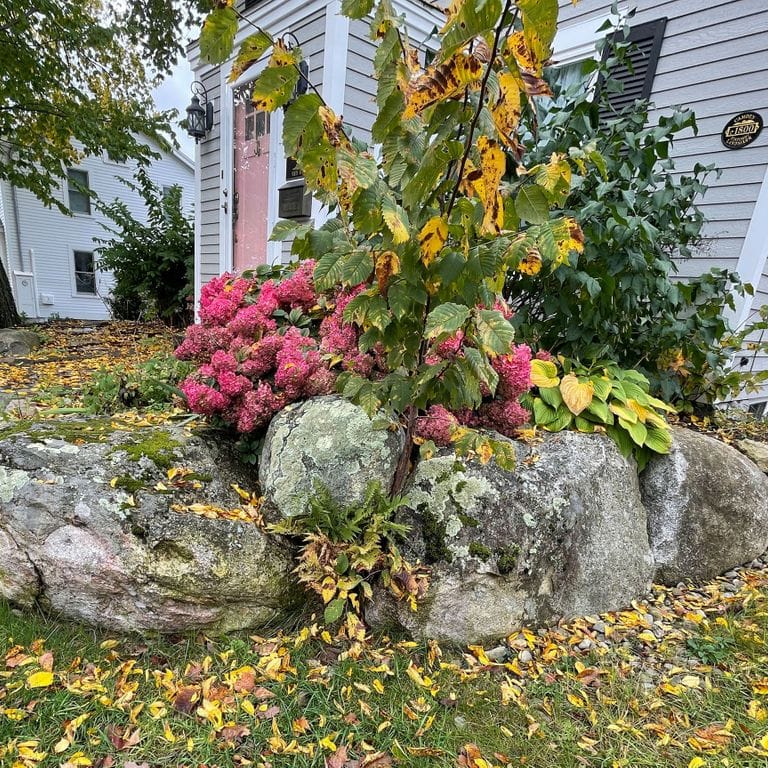 Application image for New England Fieldstone - Boulders. The image shows this product being used in a landscape boulders &amp; ledge application. The surface finish shown is weathered. The dominant color shown is gray; with beige, brown, white and tan secondaries. The color mix creates a warm feeling. Regular, blotched and random color patterns.
