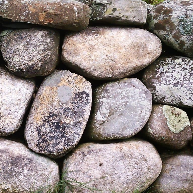 Close-up image for New England Fieldstone Wallstone - Rounds. The surface finish shown is weathered. The dominant color shown is gray; with beige, brown, orange/rust, pink, purple, white, tan and cream secondaries. Exhibits "movement" and the color mix creates a warm feeling. Random, speckled, coarse speckled and blotched color patterns.