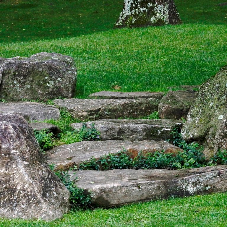 Application image for New England Fieldstone Steppers and Steps. The image shows this product being used in a monolithic steps application. This is a landscape stone for outdoor commercial and residential applications. Suitable for general use, freeze-thaw conditions, high traffic areas and low slipperiness surfaces situations. Moderate to higher on the price spectrum.