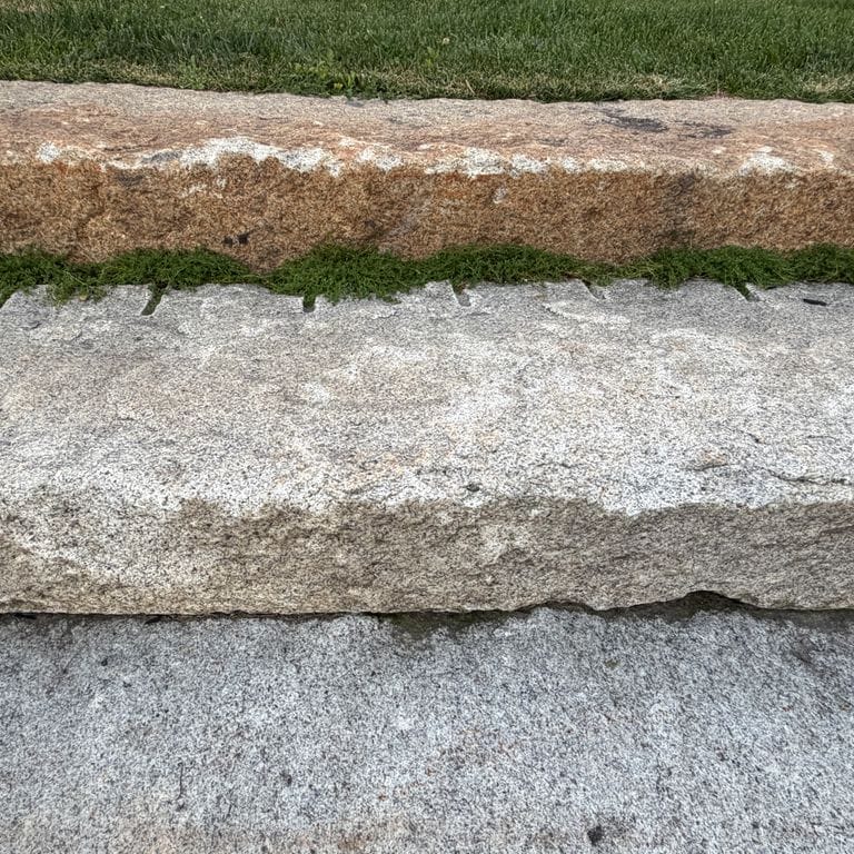 Best close-up image for Reclaimed First Generation Curbstone - Textured Riser and Tread Steps. The image shows this product being used in a monolithic steps application. The surface finish shown is . The dominant color shown is gray; with beige, brown, green, orange/rust, purple, white, tan and cream secondaries. Exhibits "movement" and the color mix creates a warm feeling. Speckled and blotched color patterns.