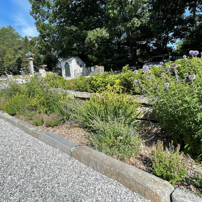 Application image for Reclaimed First Generation Granite Curbstone - Edging. The image shows this product being used in a landscape curbing &amp; edging application. The surface finish shown is a combination of weathered and worn. The dominant color shown is gray; with a tan secondary. The color mix creates a warm feeling.
