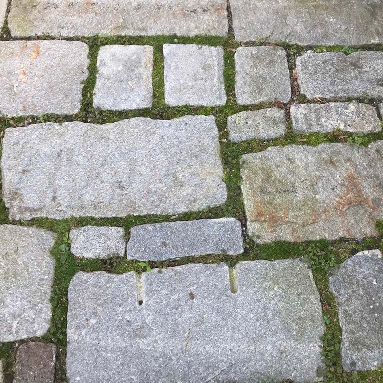 Close-up image for Reclaimed New England Granite Cobblestones - Super Jumbo Pavers. The surface finish shown is weathered. The dominant color shown is gray; with beige, blue, brown, green, pink, purple, white, tan and cream secondaries. Exhibits "movement". Random, speckled and blotched color patterns.