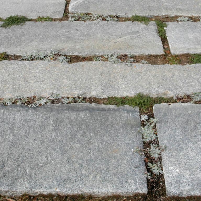 Best close-up image for Reclaimed Granite Foundation Stone - Pavers. The surface finish shown is . The dominant color shown is gray; with beige and white secondaries. Exhibits "movement" and the color mix creates a cool feeling. Regular, speckled, blotched and cloudy color patterns.