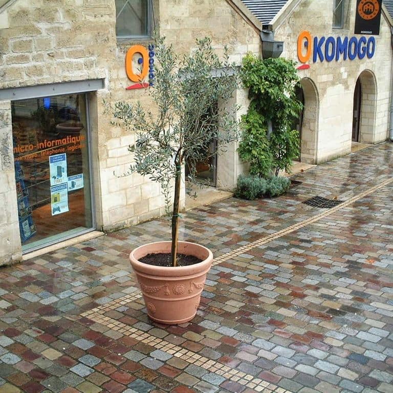 Application image for Reclaimed Swedish Granite Cobblestones - Flat Surface. The image shows this product being used for path pavers and patio pavers. The surface finish shown is sawn. The dominant color shown is gray; with beige, blue, brown, green, orange/rust, purple, white and tan secondaries. The color mix creates a warm feeling. Fine speckled, speckled and random color patterns.