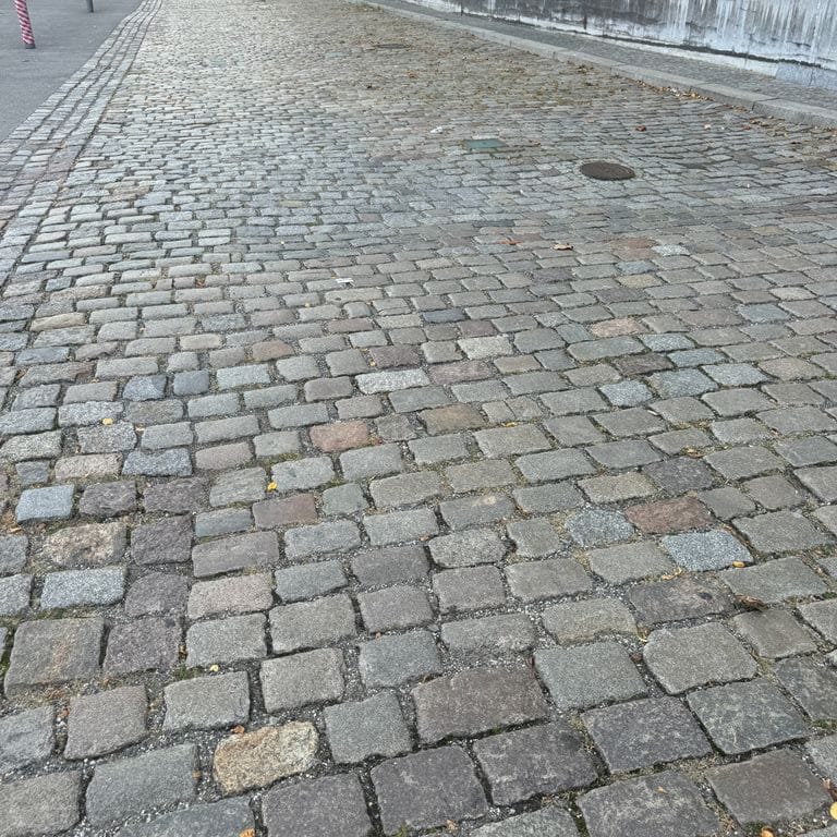 Application image for Reclaimed Swedish Granite Cobblestones - Worn Surface. The image shows this product being used for path pavers and public area. The surface finish shown is . The dominant color shown is gray. The color mix creates a warm feeling.