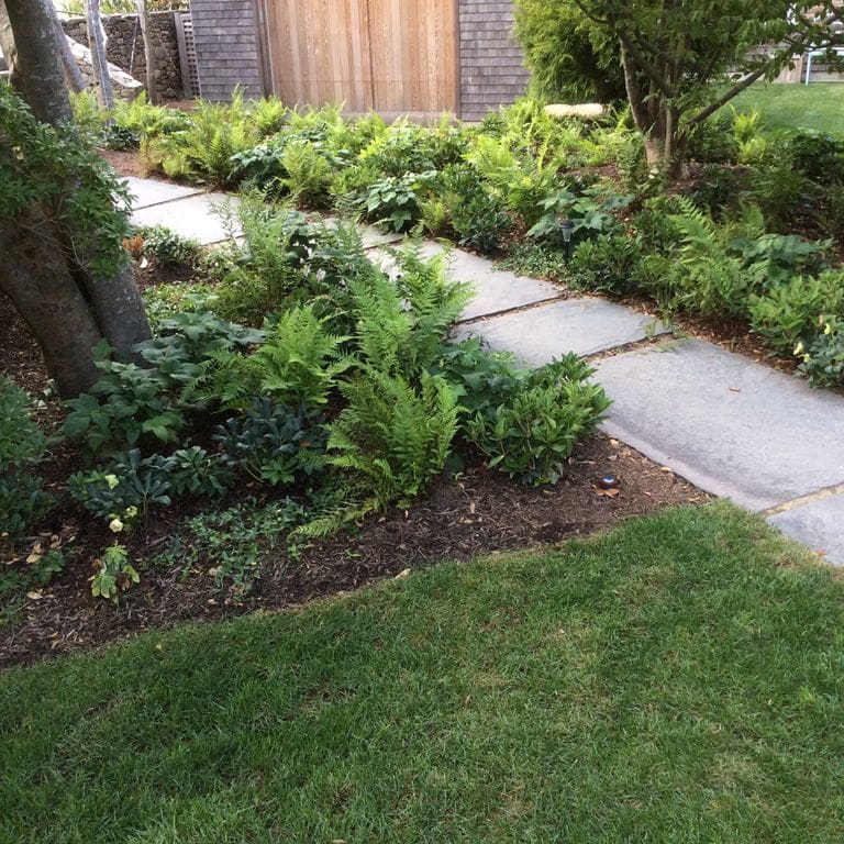 Application image for Reclaimed Bluestone Sidewalk Stones. The image shows this product being used in a path pavers application. The surface finish shown is natural cleft. The dominant color shown is gray.