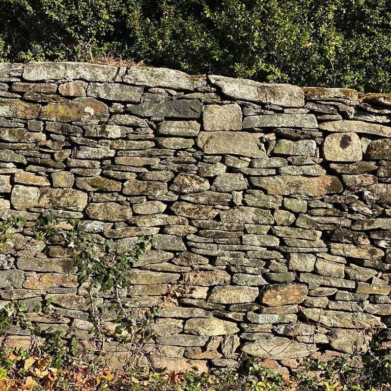 Close-up image for New England Fieldstone Wallstone - Flats. The surface finish shown is weathered. Dominant colors shown are beige, brown and tan; with gray, orange/rust and cream secondaries. Exhibits "movement" and the color mix creates a warm feeling. Random, speckled, blotched and cloudy color patterns.