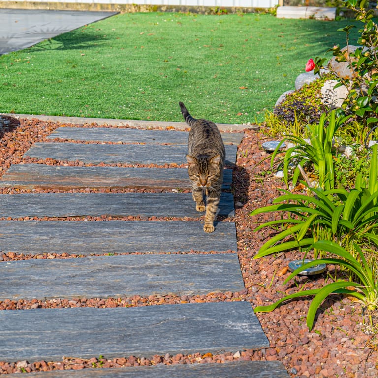 Feature image for Black Schist - Pavers. The image shows this product being used in a path pavers application. The surface finish shown is natural cleft. Dominant colors shown are black and gray; with beige, brown, orange/rust, white and cream secondaries. Exhibits "movement". Linear and streaked color patterns.